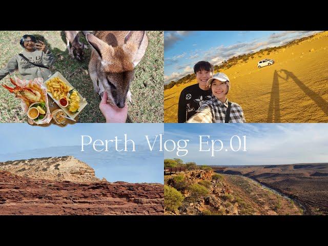 Perth travel vlog /Kalbarri National Park, Red Bluff Beach, Pink Lake, Pinnacles, Caversham Wildlife