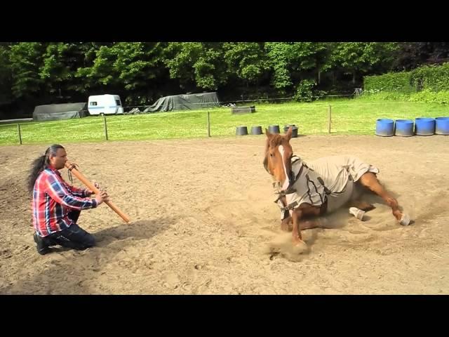 Michael Telapary plays Flute for the horses