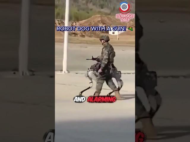 Robot Dog with a Gun?️ China's Latest Military Innovation! #shorts #war #china