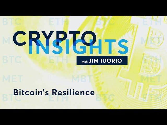 Crypto Insights: Bitcoin’s Resilience