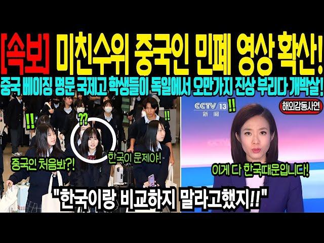 해외감동사연 중국 베이징 명문 국제고 학생들이 유럽서 오만가지 진상부리다 개박살난 사연은