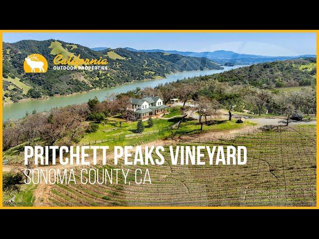 Pritchett Peaks Vineyard | Sonoma County, CA