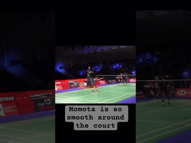 #badminton #badmintonplayer #bwf #kentomomota ##badmintontraining -#badmintonlovers