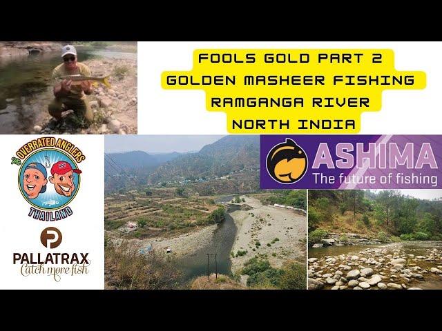 Fishing in Thailand - The Overrated Anglers - Fools gold!! Masheer hunt Ramganga river India part 2.