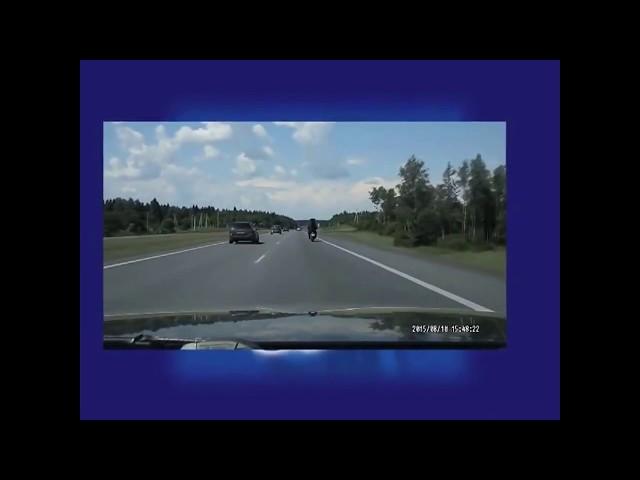 Русские медведи - Russian bears on the roads