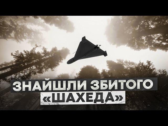 Знайшли збитого Шахеда! Пошук з металошукачем в Україні!