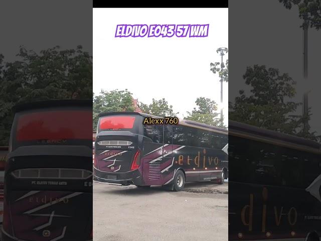 Eldivo 57 WM E043 Berangkat️#shorts #busmania #busindonesia #busmalam #terminalbrps #eldivo.