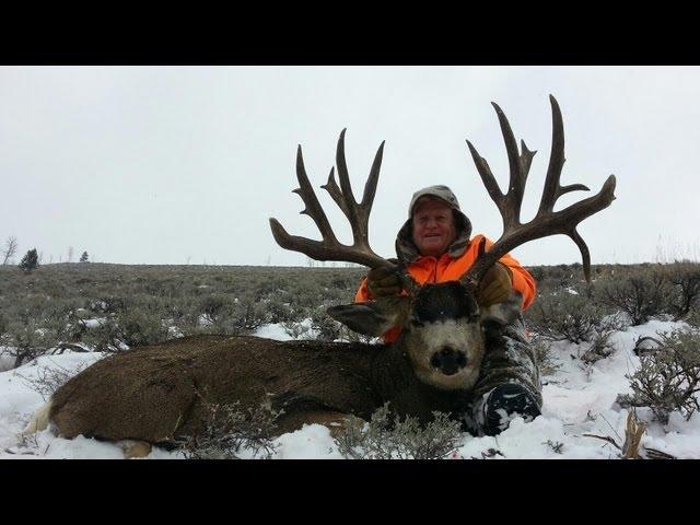 244" Colorado Mule Deer Hunt - Guinn Crousen - Muley Connection