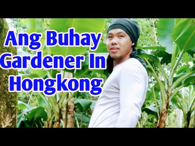 Ang Buhay Gardener In Hongkong