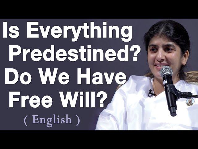 Is Everything Predestined? Do We Have Free Will?: Part 1: BK Shivani (English)