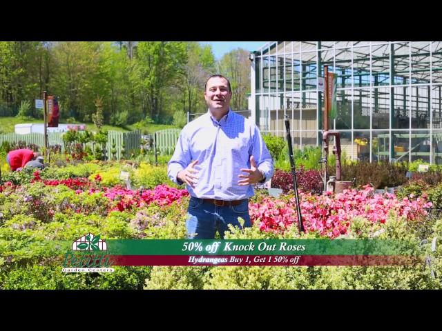 Petitti Garden Center (NURSERY2017HYDR)