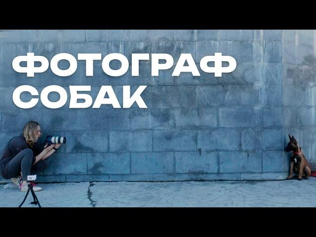 Работа и заработок фотографа собак - Фотограф-Анималист - Интервью #зообизнес