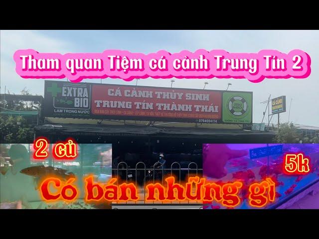 Tham quan tiệm cá cảnh Trung Tín 2(Thành Thái) có những gì