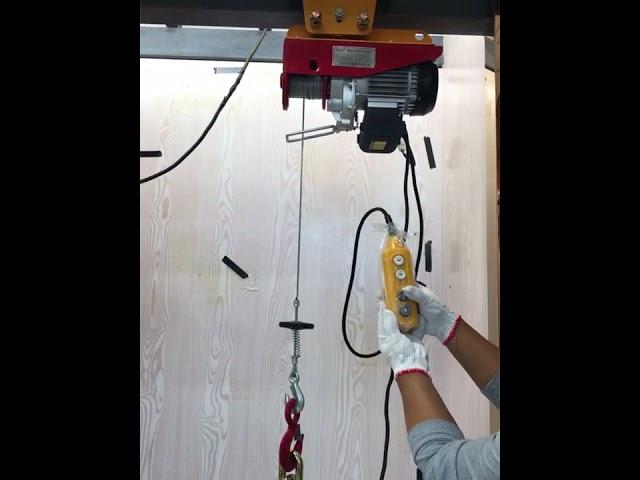 mini electric hoist