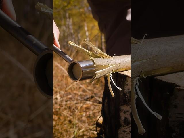 GREAT Bushcraft connection #survival #bushcraft #camping