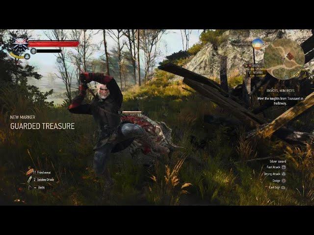 The Witcher 3: Wild Hunt ruby location