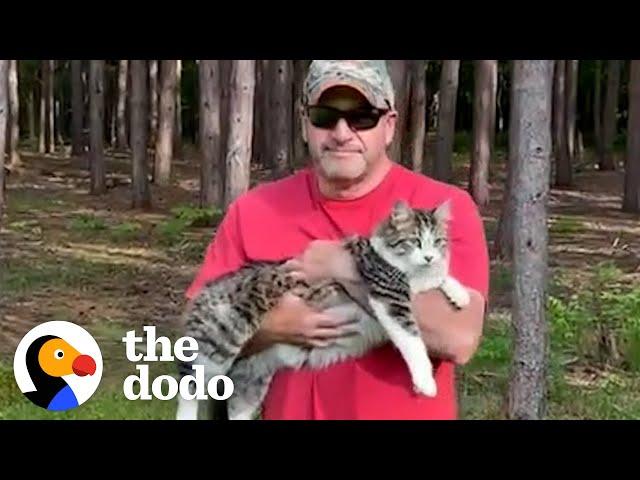 Cat Becomes Totally Obsessed With His 'Dog Person' Dad | The Dodo Soulmates