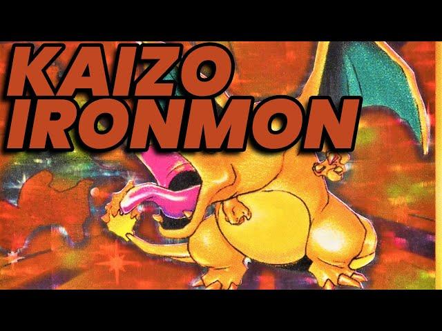 Kaizo IronMON - The Hardest Pokemon Challenge [1000+ attempts]