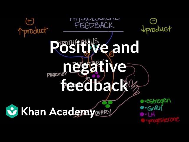 Physiological concept of positive and negative feedback | Behavior | MCAT | Khan Academy