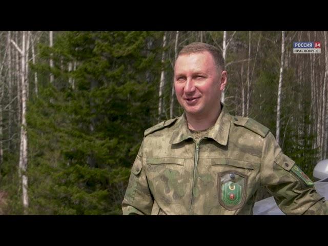 Бобровое нашествие. Фильм Сергея Герасимова