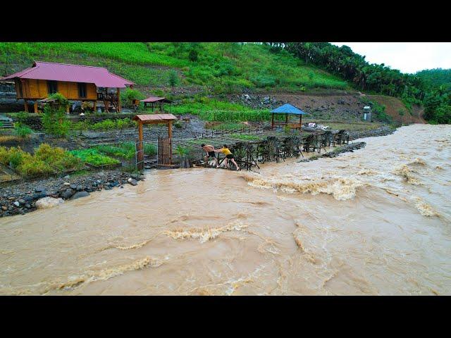 Sad because after 2 days of heavy rain, heavy floods flooded Sang Vy farm, causing a lot of damage