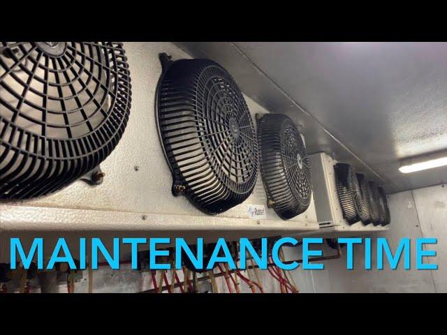 Maintenance Time