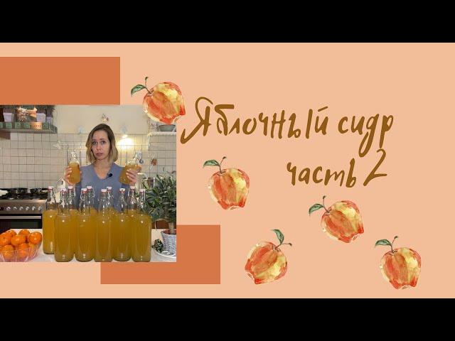 Домашний яблочный сидр. Часть 2.