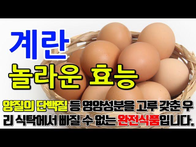 계란의 놀라운 효능 8가지 & 부작용 / " 에너지 충전! 계란의 단백질과 비타민으로 활력을 되찾다"