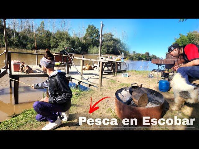 PESCA en ESCOBAR, CAMPING EL AMPARO, LUGAR NUEVO, HERMOSA PESCA DE DIA Y DE NOCHE, LEÑA luz y pieza.