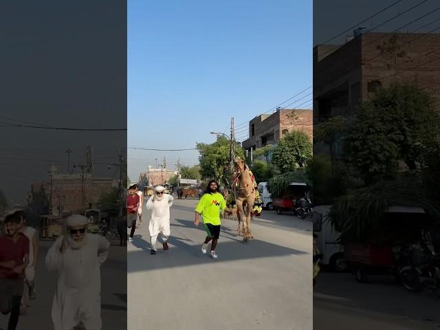 Kon ziada fast bhag rah?️note kro#animals #animalshorts #animallife #petlover #petshub #petlove