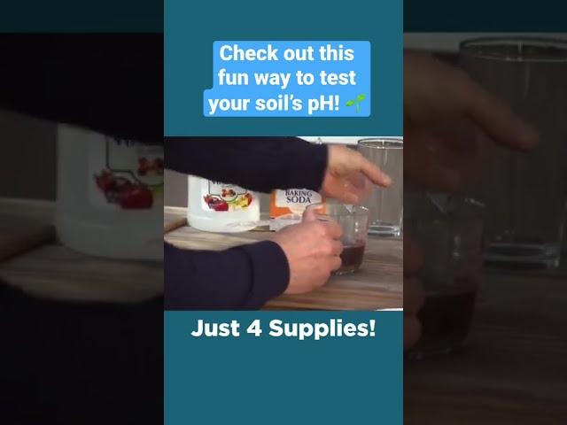Testing Your Soil's pH - Simple Solutions