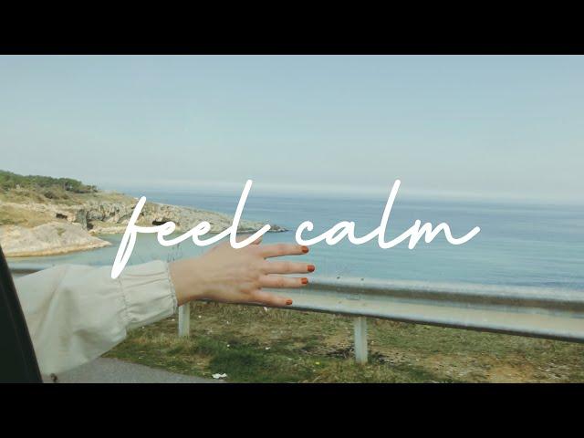 Feel Calm | Cinematic Video