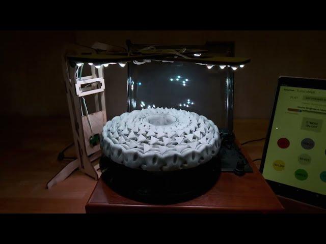 Record Player 3D Zoetrope