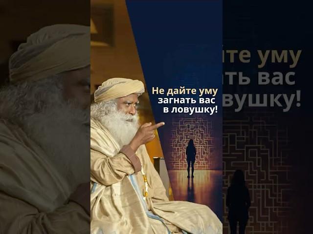 Как ум превращает решения в новые проблемы