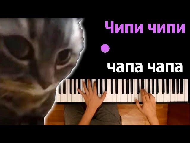  ЧИПИ ЧИПИ ЧАПА ЧАПА (на русском) | @MelodyNoteVtuber   ● караоке | PIANO_KARAOKE ● ᴴᴰ + НОТЫ