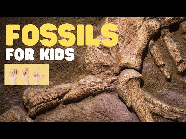 ASL Fossils for Kids