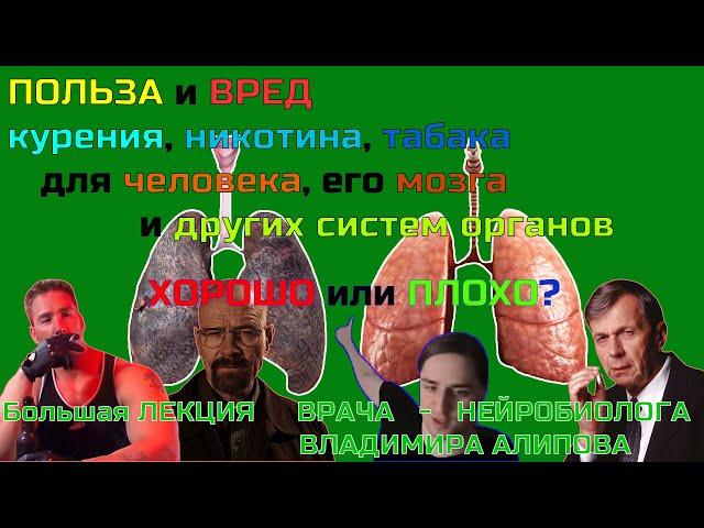 ПОЛЬЗА и ВРЕД курения, никотина, табака. Новая инфа. Лекция ВРАЧА-НЕЙРОБИОЛОГА Владимира АЛИПОВА.