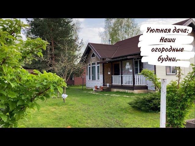 Уютная дача: Наши огородные будни.