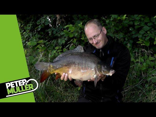 Karpfenangeln - Starker Angeldruck und die Folgen für Boilies