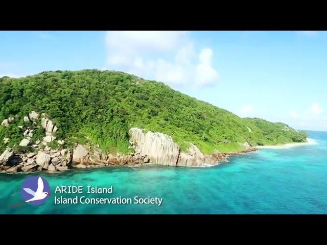 ARIDE Island Nature Reserve, Seychelles - Documentry Videos - Claire Obscuur