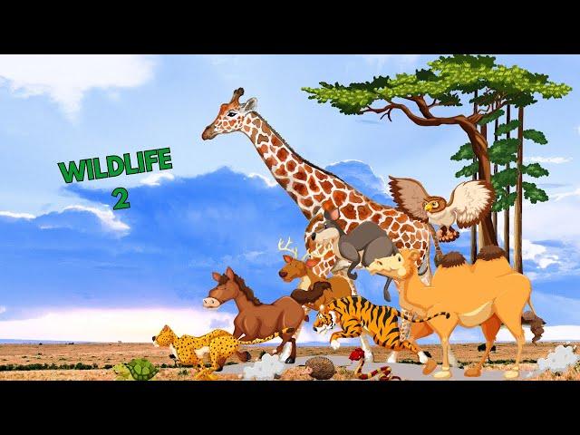 WILDLIFE 2 | ANIMALI SELVATICI | IMPARIAMO GLI ANIMALI SELVATICI  | NOMI E SUONI DEGLI ANIMALI