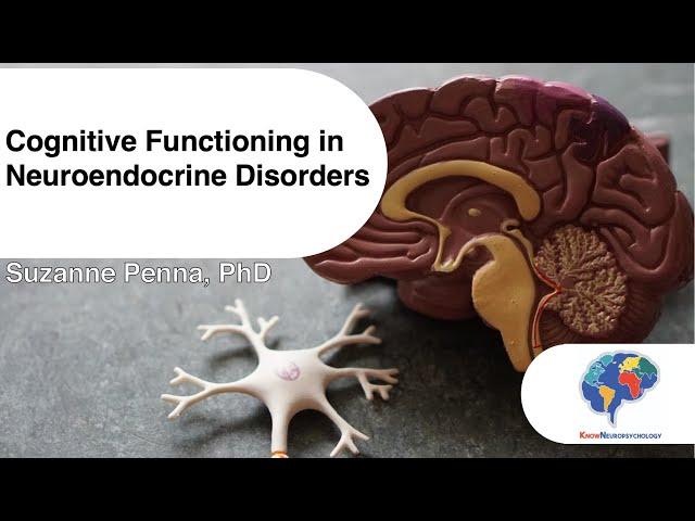 Cognitive Functioning in Neuroendocrine Disorders