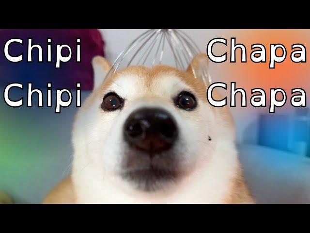 Chipi Chipi Chapa Chapa Dubi Dubi Daba Daba Doge