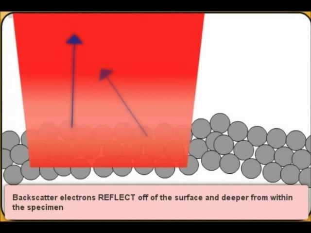 How a Scanning Electron Microscope Works.wmv