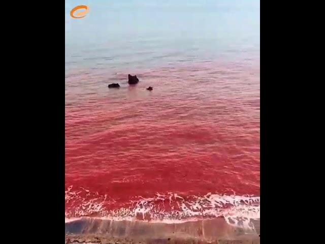 HORMOZ RED BEACH, SOUTH OF IRAN