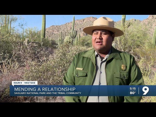 Mending nature and relationships: Saguaro National Park extends olive branch to tribal communities