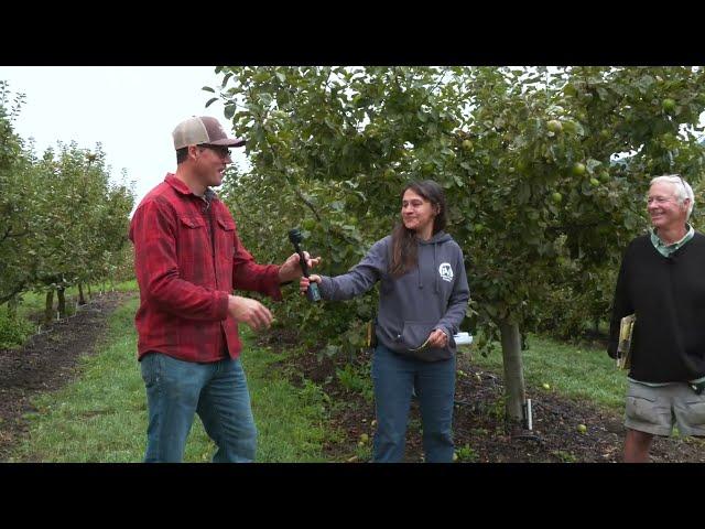 Apple Growing Fundamentals at 5th Crow Farm