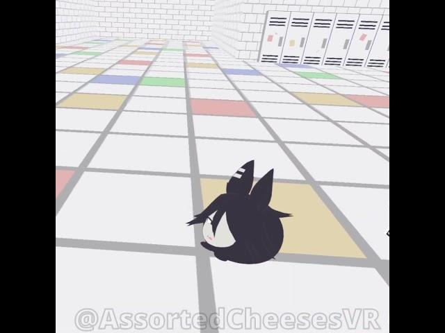 Miss Circle Cat Faceplants... - VRChat (Fundamental Paper Education)