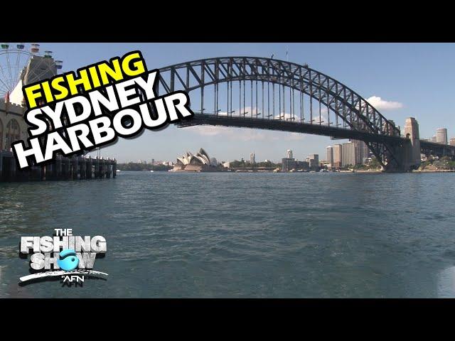 FISHING SYDNEY HARBOUR! Lure techniques for Sydney Harbour