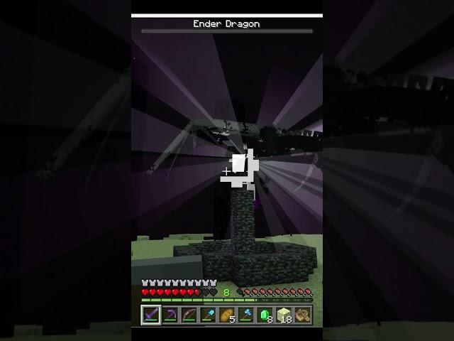 i beat the enderdragon but at what cost